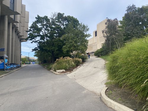 Norris University Center West Entrance Driveway