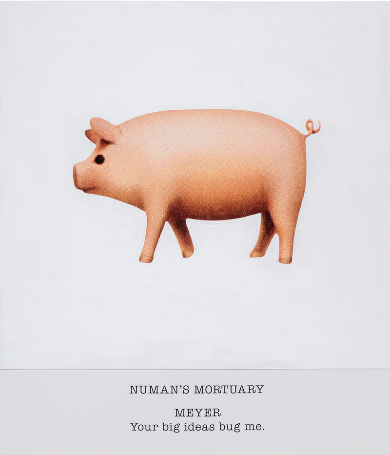 pink pig on white canvas